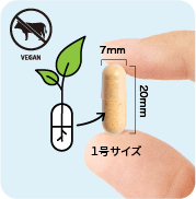 植物性カプセル