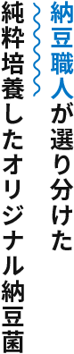 納豆職人が選り分けた純粋培養したオリジナル納豆菌