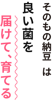 そのもの納豆は良い菌を届けて、育てる
